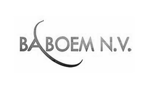 logo_baboem